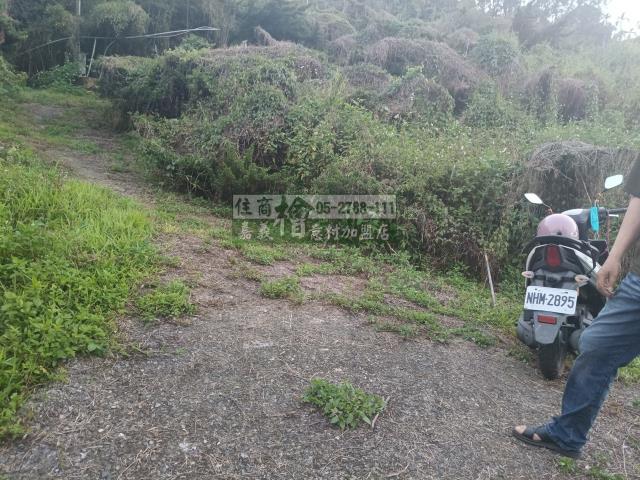 嘉義中埔農地-1