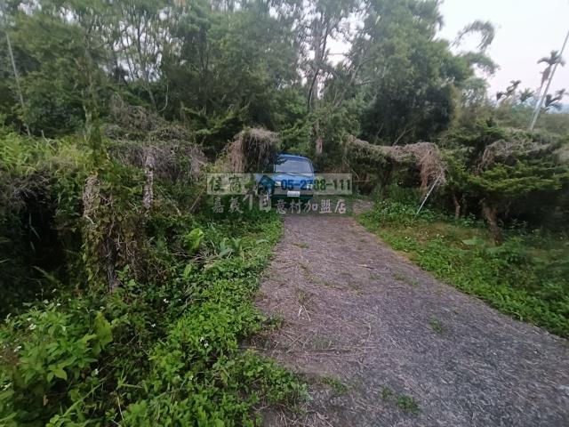 嘉義中埔農地-2