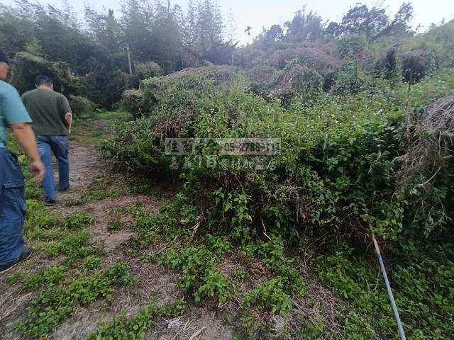 嘉義中埔農地-3