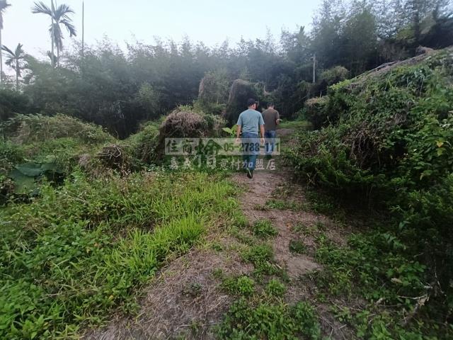 嘉義中埔農地-4