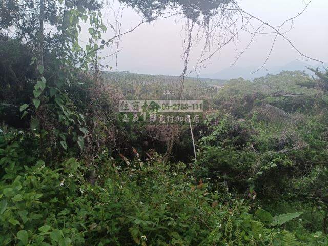 嘉義中埔農地-5