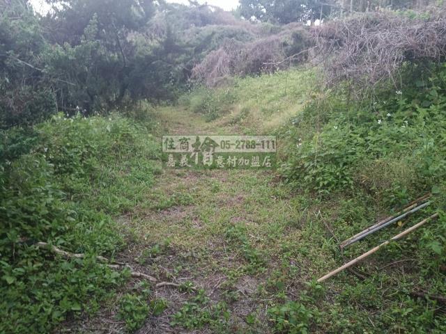 嘉義中埔農地-6