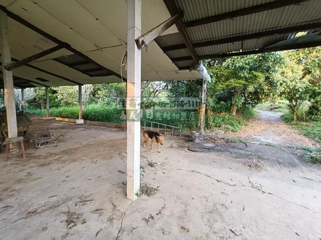 嘉義中埔農地-10