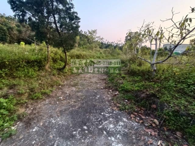 嘉義中埔農地-11