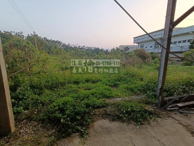 嘉義中埔農地-1