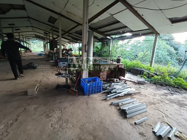 嘉義中埔農地-9