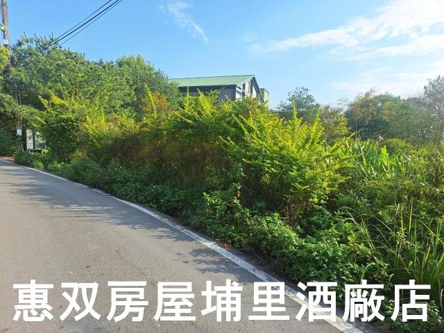 南投埔里農地-1