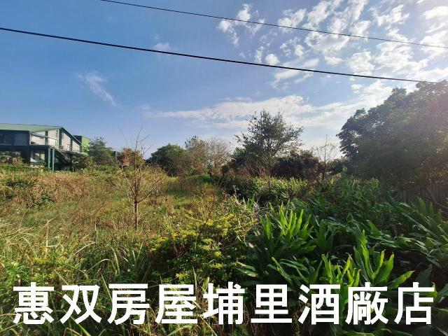 南投埔里農地-3