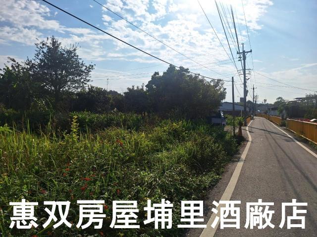 南投埔里農地-5