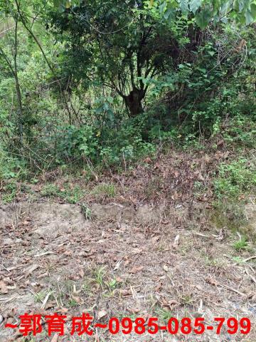 嘉義中埔農地-2