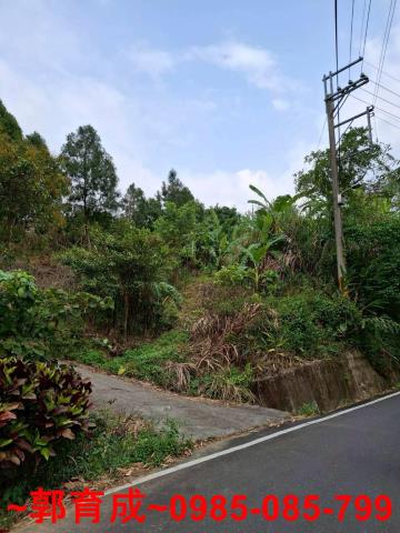 嘉義中埔農地-3