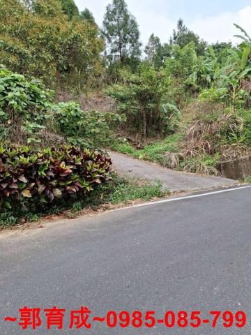 嘉義中埔農地-4