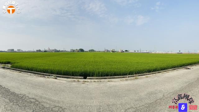 溪口農地-4