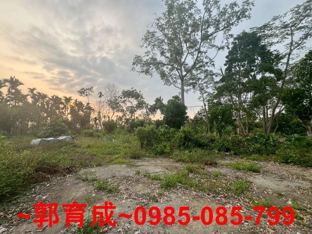 中埔農地-5