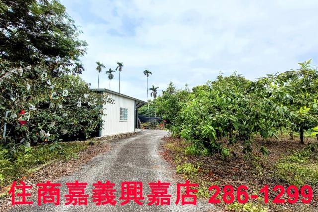 嘉義農地-4