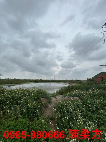 嘉義義竹農地-5