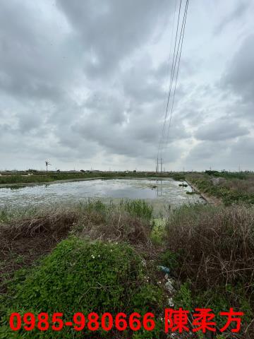 嘉義義竹農地-6