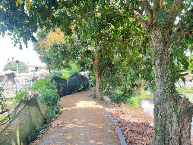 嘉義竹崎農地-13