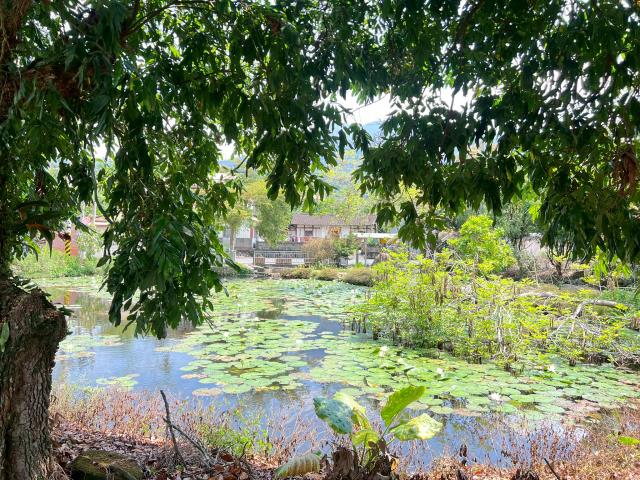 嘉義竹崎農地-14