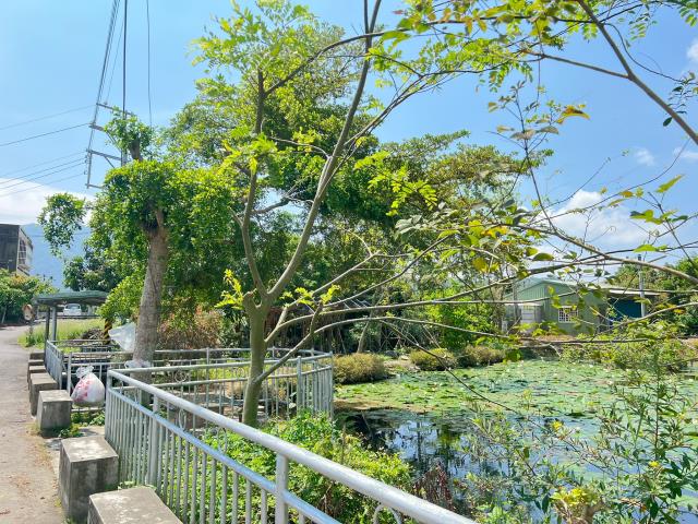 嘉義竹崎農地-2