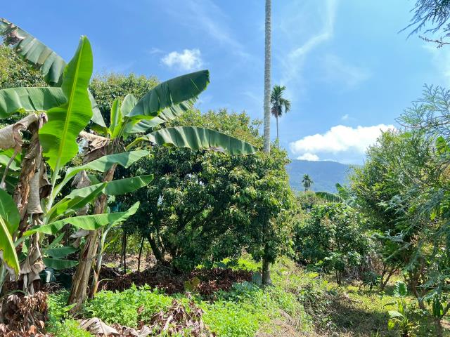 嘉義竹崎農地-9