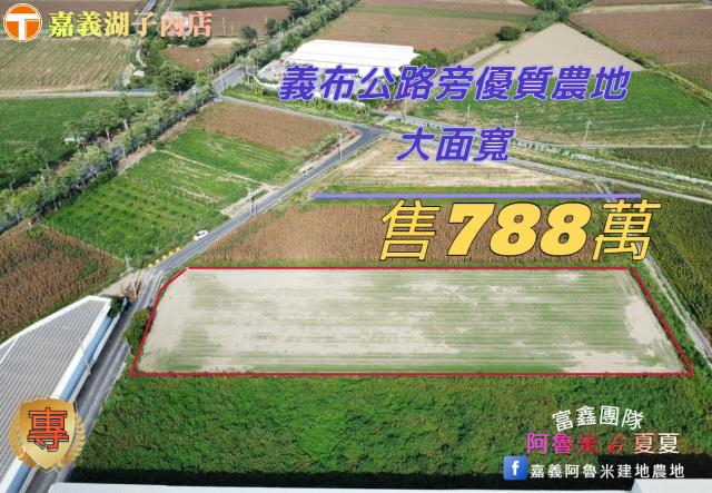 嘉義義竹農地-1