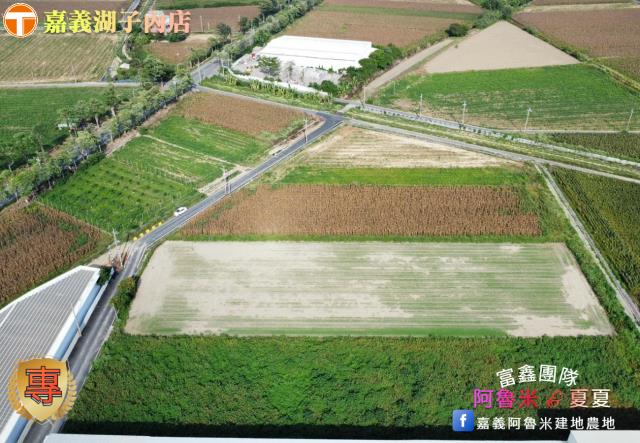 嘉義義竹農地-5