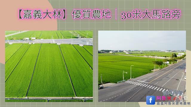 嘉義大林農地-1