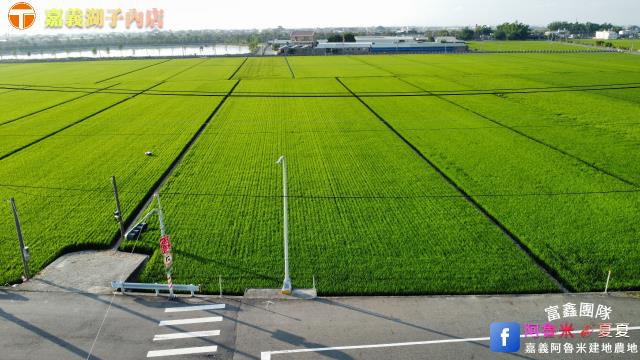 嘉義大林農地-3