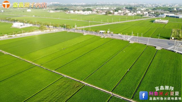 嘉義大林農地-5