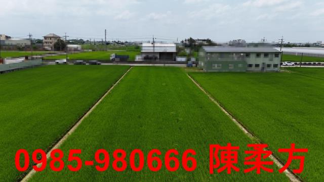 民雄農地-8
