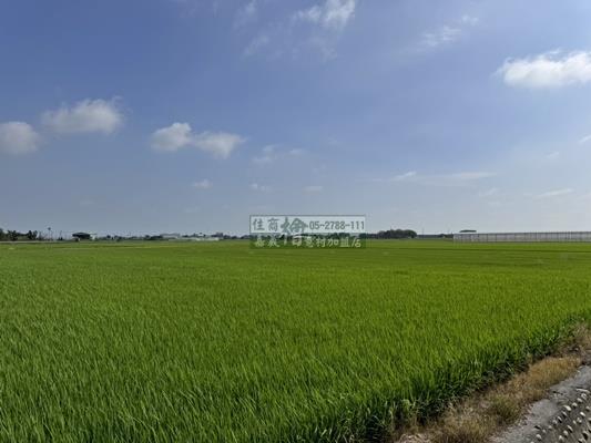 嘉義農地-3