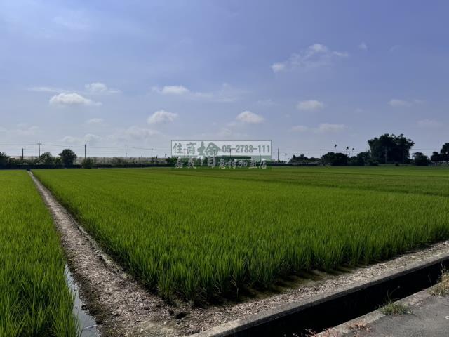 嘉義水上農地-11