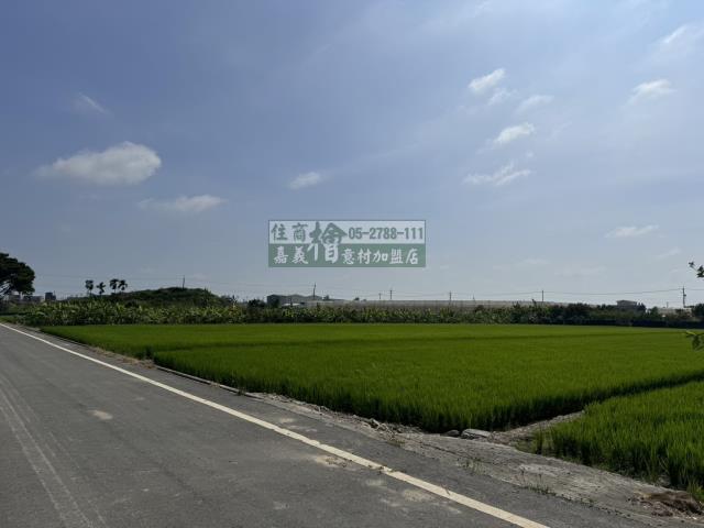 嘉義水上農地-12