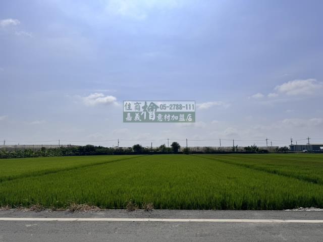 嘉義水上農地-13