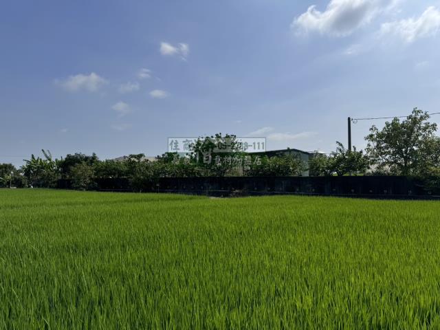 嘉義水上農地-1