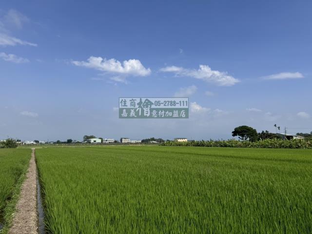 嘉義水上農地-2