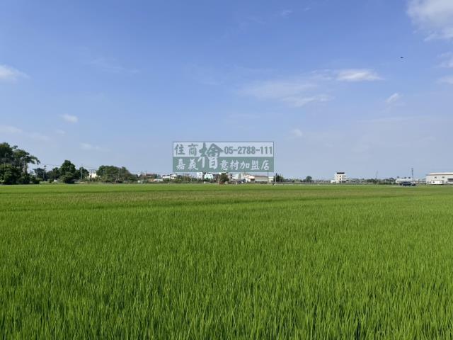 嘉義水上農地-3