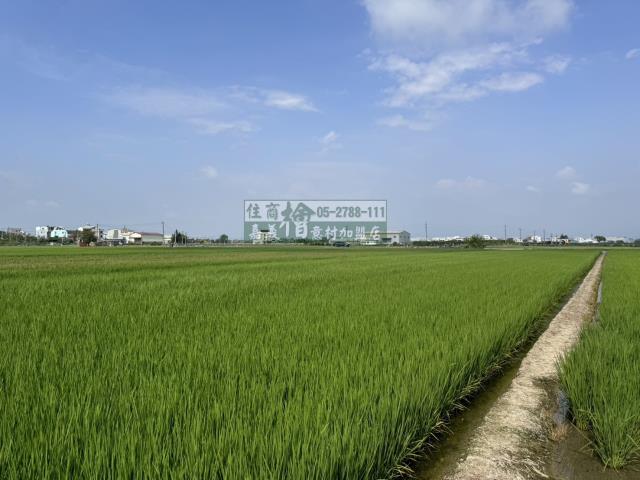 嘉義水上農地-4