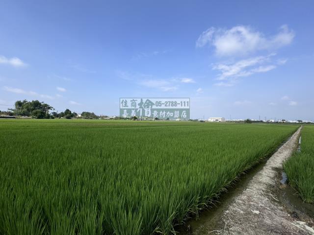 嘉義水上農地-5