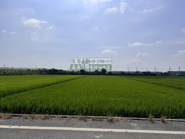 嘉義水上農地-6