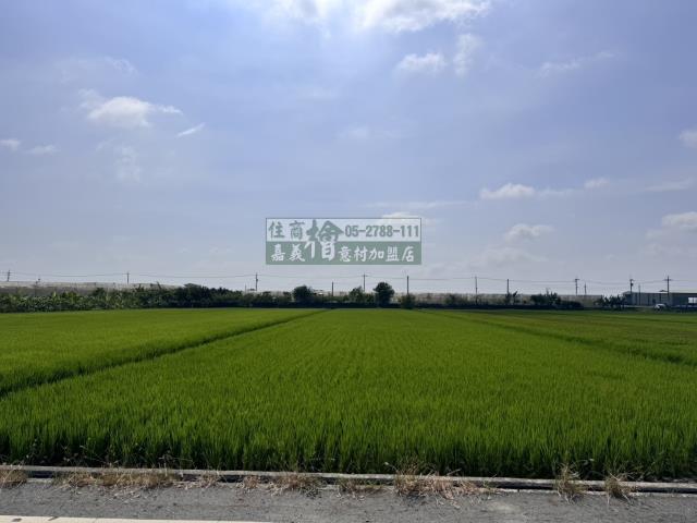 嘉義水上農地-7