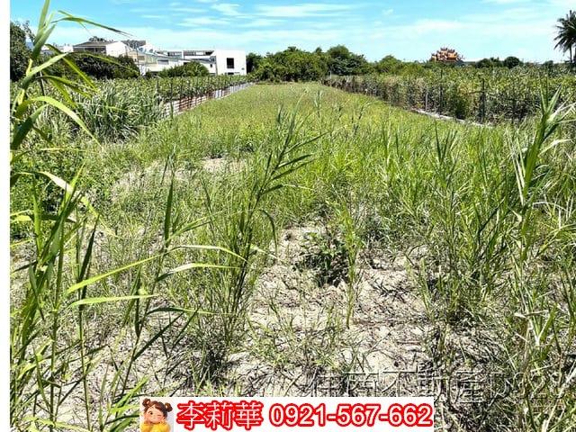 台南安南農地-6