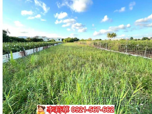 台南安南農地-7