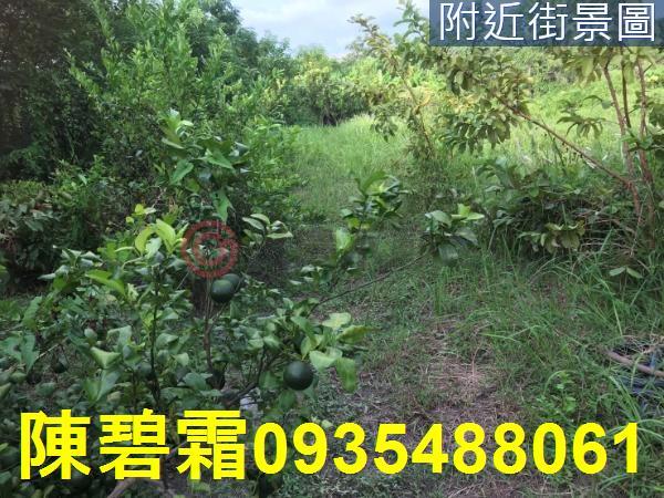 台南農地-1