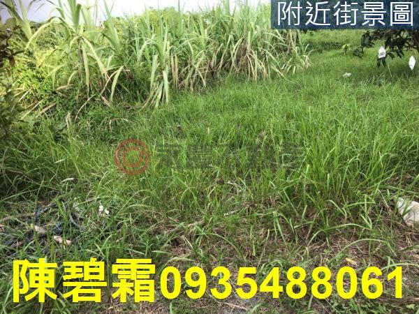 台南農地-2