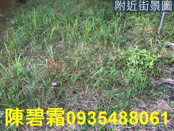 台南農地-3