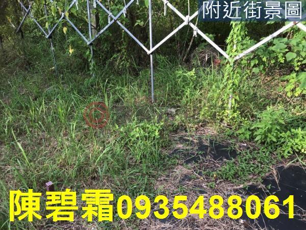 台南農地-4