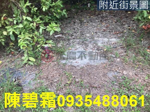 台南農地-5