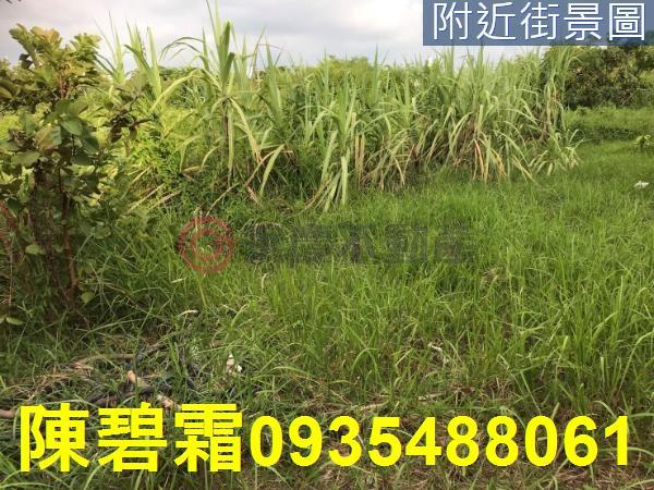 台南農地-8